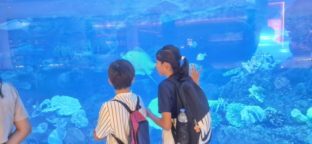 Family exploring Dubai attractions