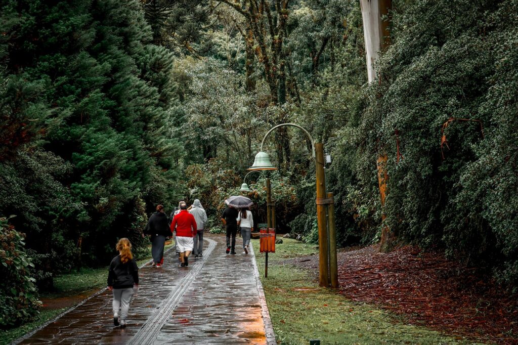 trail, nature, path, trees, walking, family, forest, woods, travel, exploration